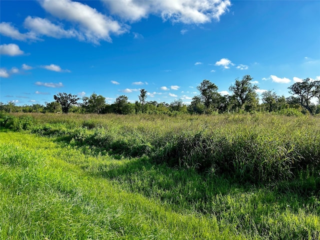 20406 County Road 461, Brazoria TX, 77422 land for sale