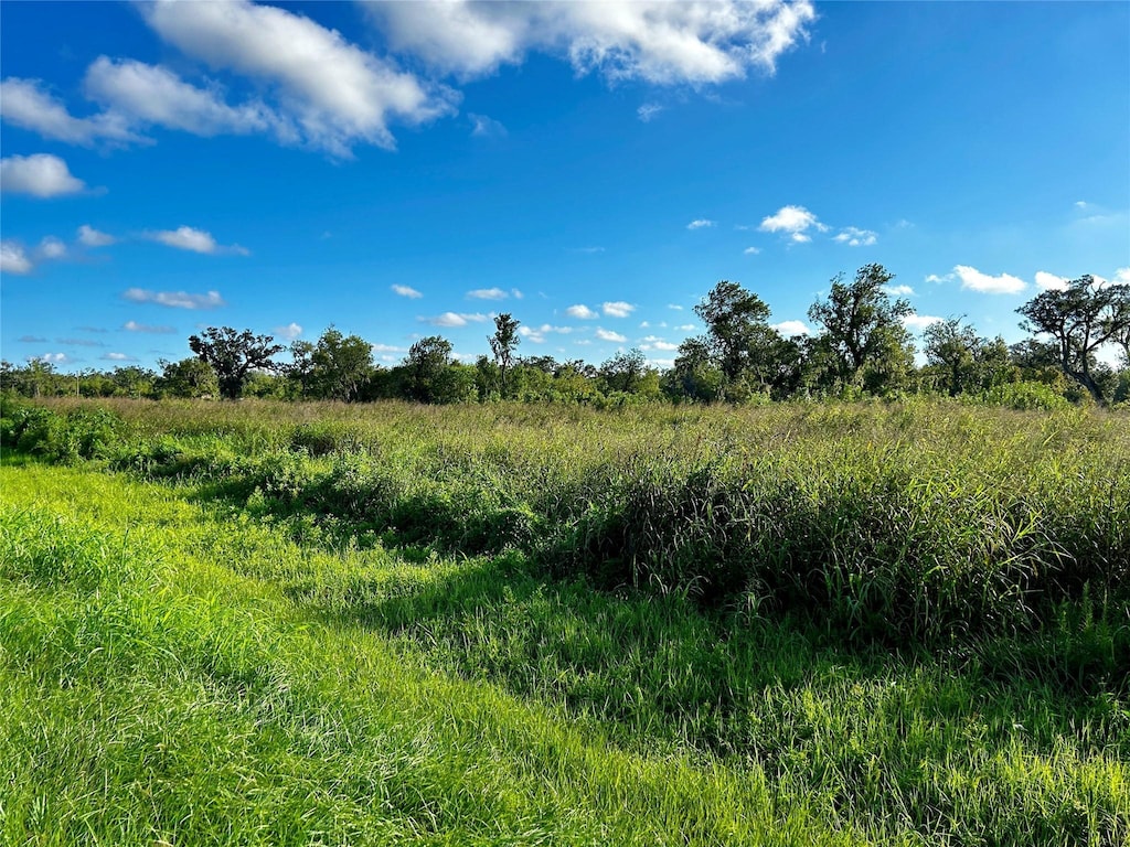 20406 County Road 461, Brazoria, TX 77422 - photo 1