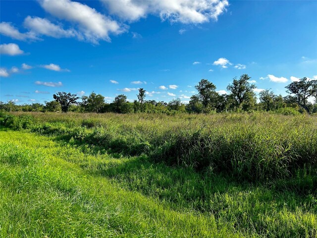 20406 County Road 461, Brazoria, TX 77422 - photo 1