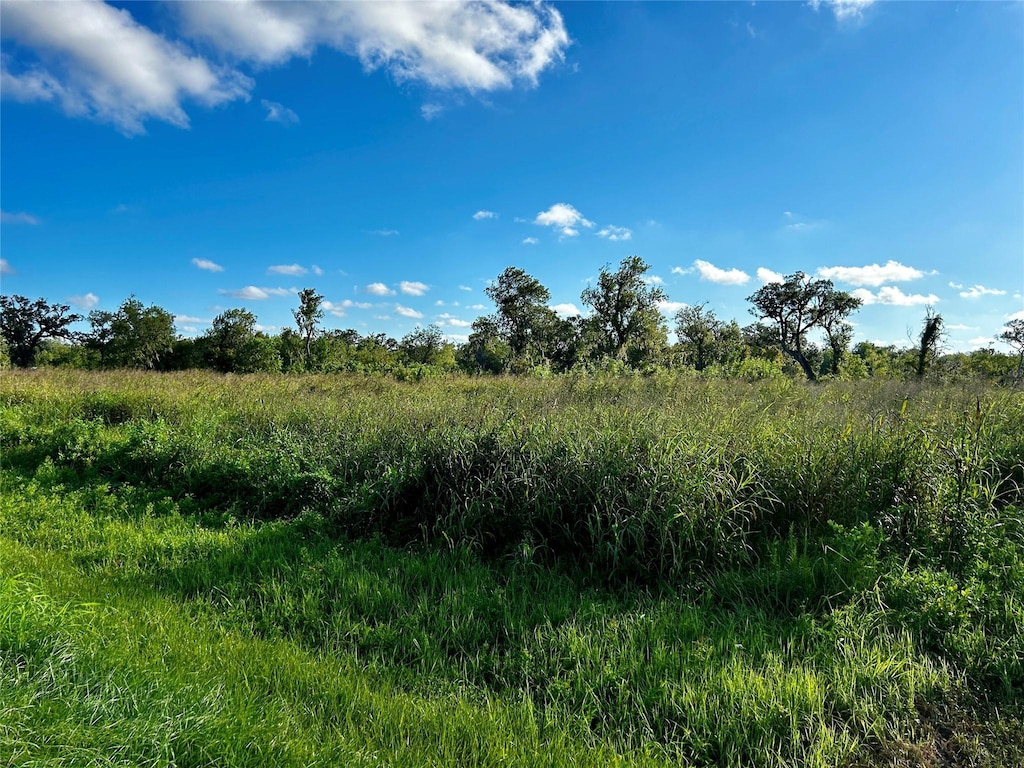 20406 County Road 461, Brazoria, TX 77422 - photo 2