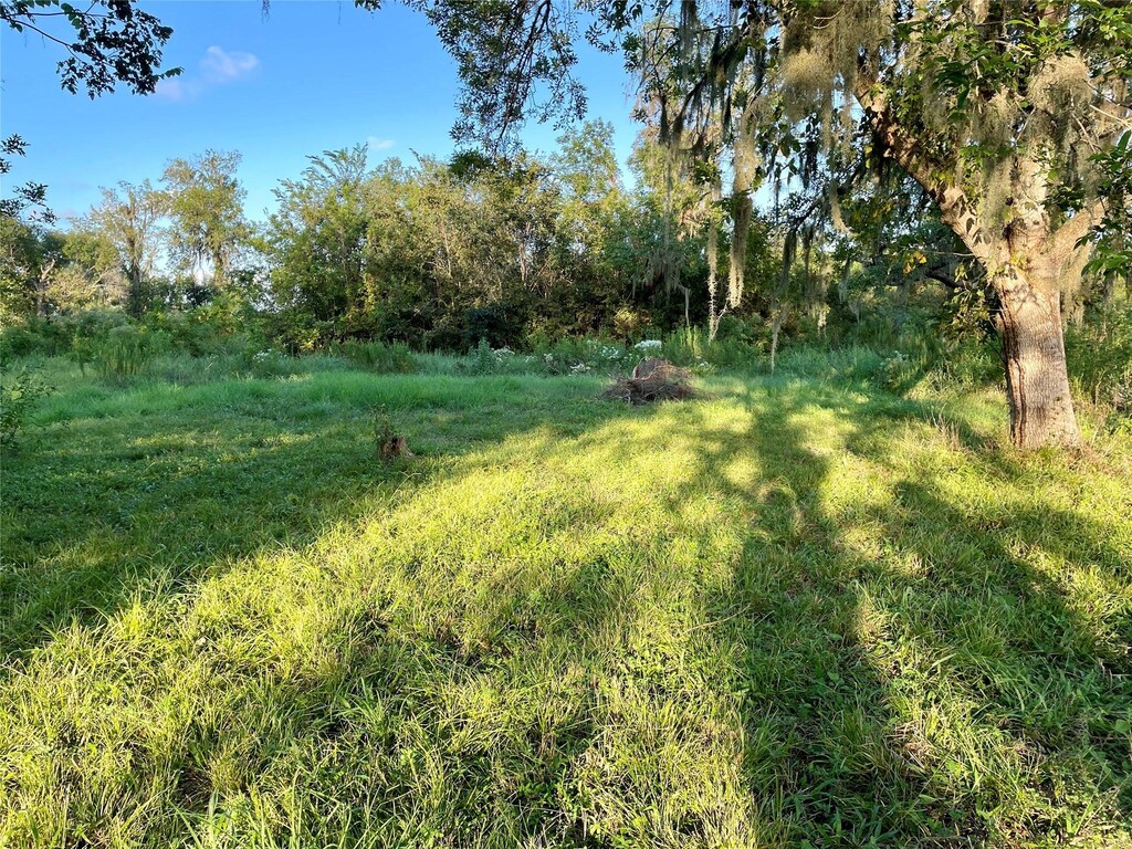 20406 County Road 461, Brazoria, TX 77422 - photo 3