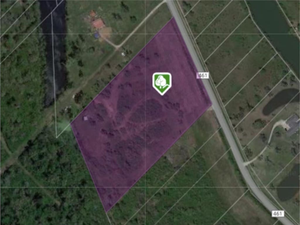 20406 County Road 461, Brazoria, TX 77422 - photo 4