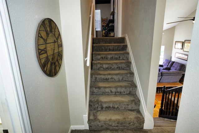 staircase featuring carpet floors and ceiling fan