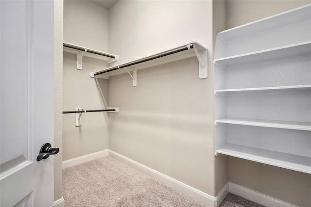 walk in closet with carpet flooring