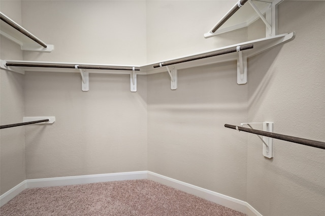 walk in closet featuring carpet floors