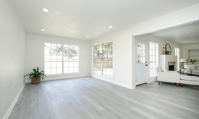 interior space with a healthy amount of sunlight and light hardwood / wood-style flooring