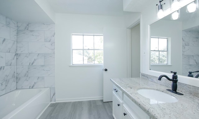 bathroom with wood-type flooring, vanity, and plenty of natural light