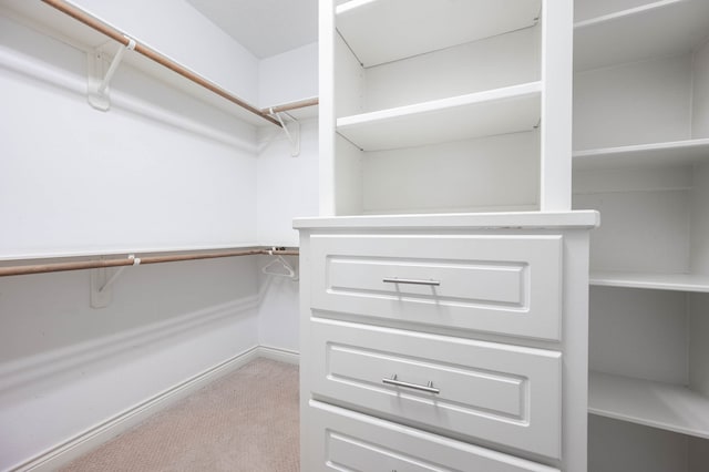 spacious closet featuring light carpet