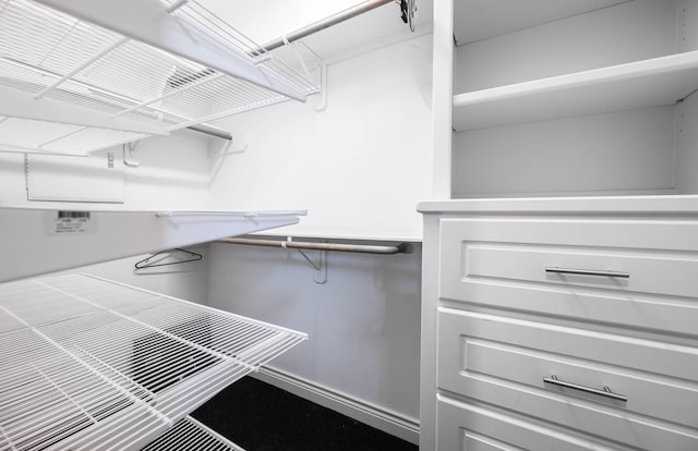 view of spacious closet