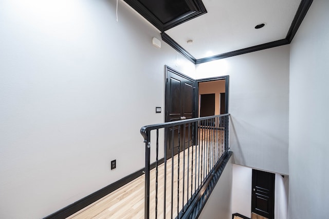 interior space featuring hardwood / wood-style floors and crown molding