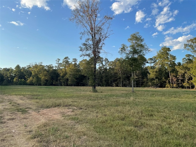 TBD Farm Rd Unit 3126, Livingston TX, 77351 land for sale