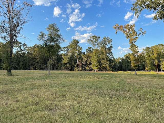 Listing photo 2 for TBD Farm Rd Unit 3126, Livingston TX 77351