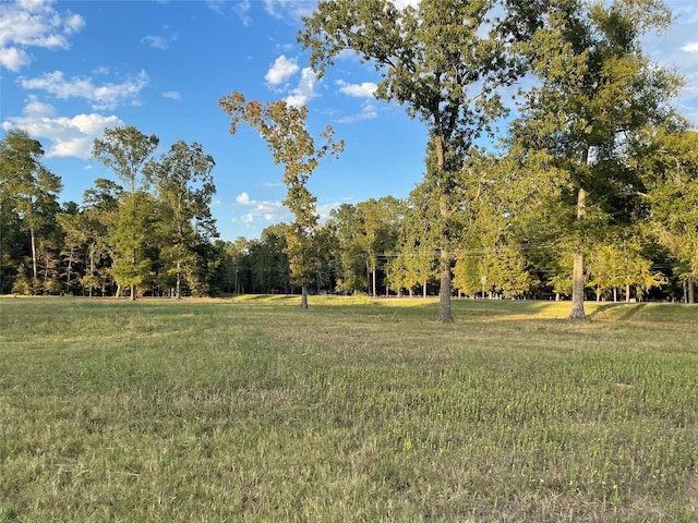 Listing photo 3 for TBD Farm Rd Unit 3126, Livingston TX 77351