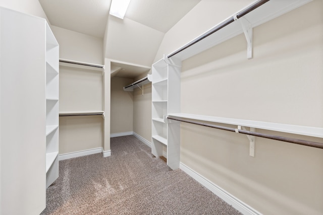 walk in closet featuring carpet