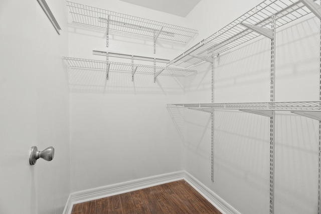 spacious closet with dark hardwood / wood-style floors