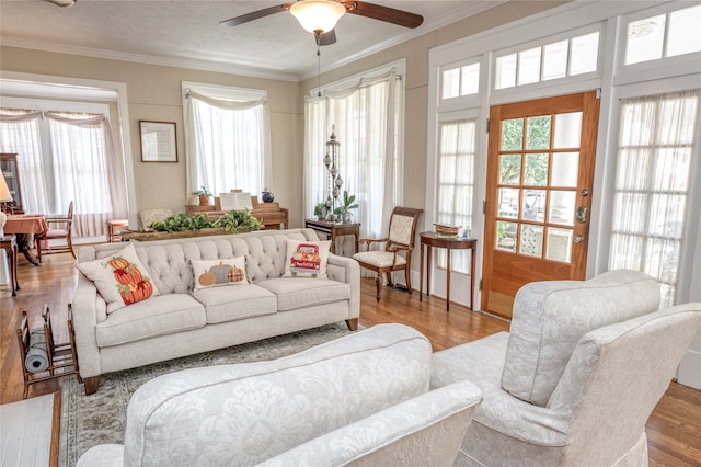 living room with ceiling fan, a textured ceiling, light hardwood / wood-style flooring, and crown molding