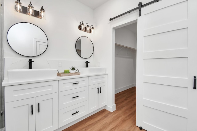 bathroom with hardwood / wood-style flooring and vanity