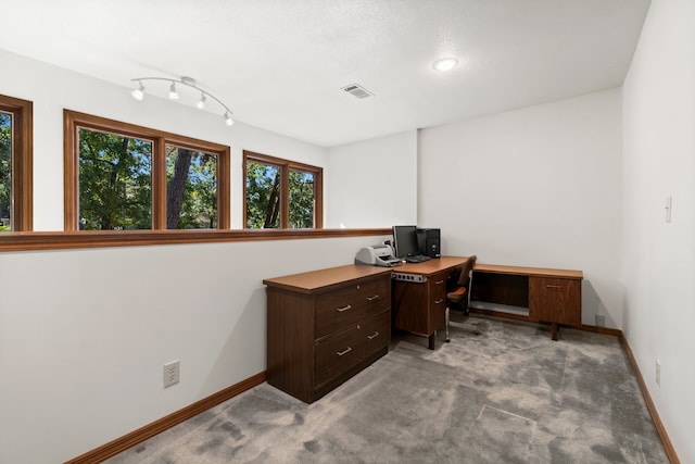 office space with light colored carpet