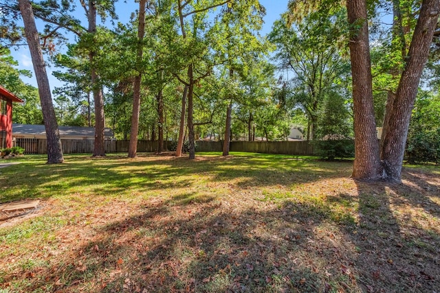 6711 River Lodge Dr, Spring, TX 77379 - view of yard with a fenced backyard