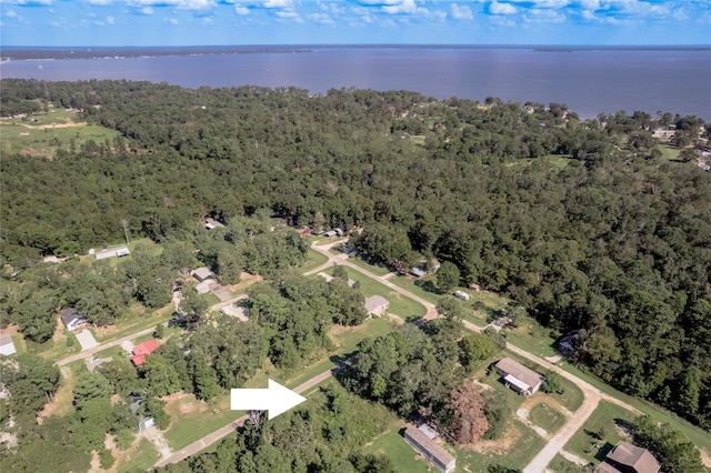 LOT390-391 Willow Oak Ln, Point Blank TX, 77364 land for sale