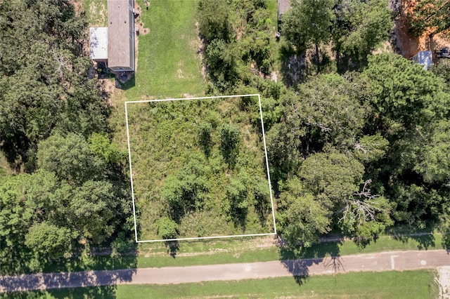 Listing photo 2 for LOT390-391 Willow Oak Ln, Point Blank TX 77364