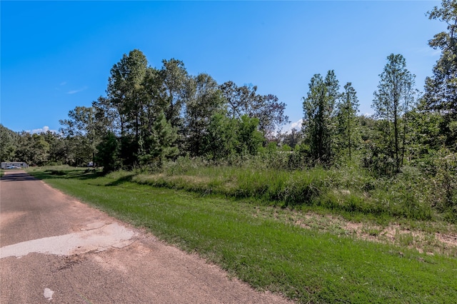 Listing photo 3 for LOT390-391 Willow Oak Ln, Point Blank TX 77364