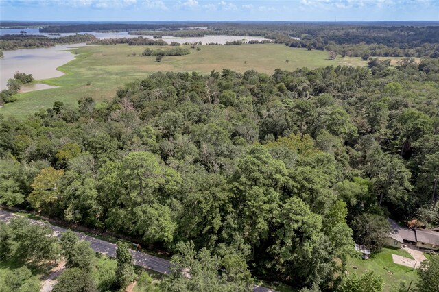 46 Brazil Blvd, Huntsville, TX 77320 - photo 21