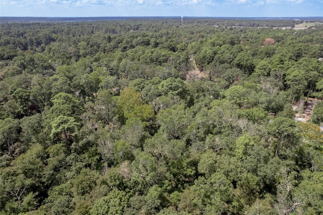 46 Brazil Blvd, Huntsville, TX 77320 - photo 25