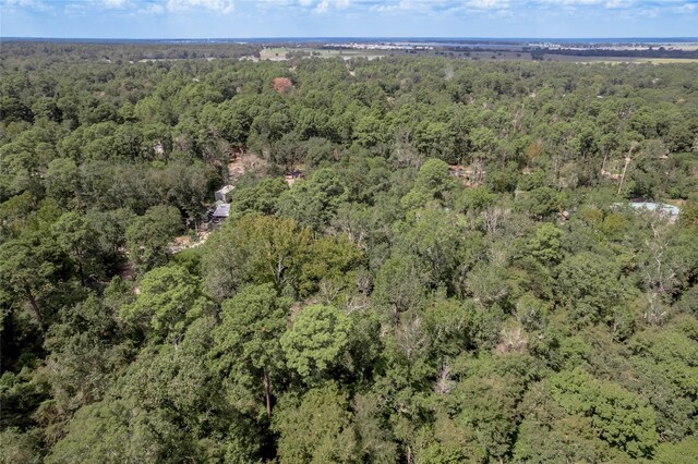 46 Brazil Blvd, Huntsville, TX 77320 - photo 26
