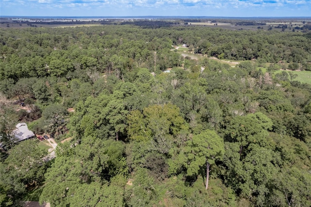 46 Brazil Blvd, Huntsville, TX 77320 - photo 27