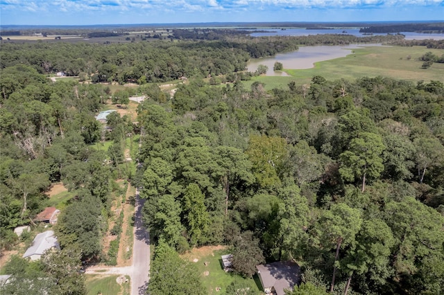 46 Brazil Blvd, Huntsville, TX 77320 - photo 28