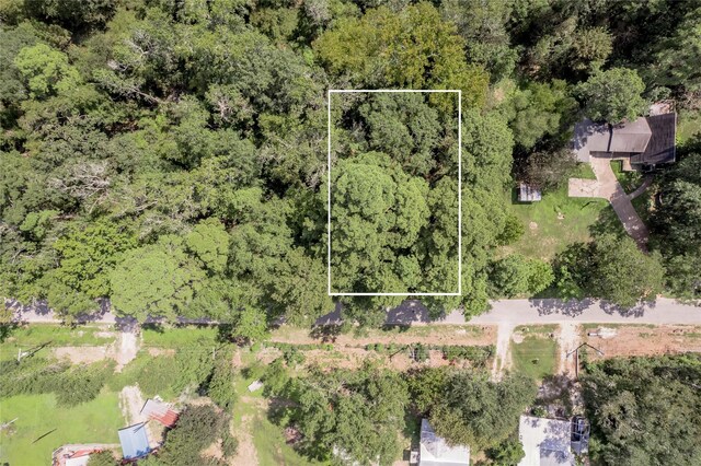 46 Brazil Blvd, Huntsville, TX 77320 - photo 2