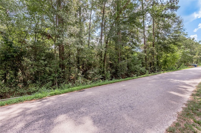 46 Brazil Blvd, Huntsville, TX 77320 - photo 4