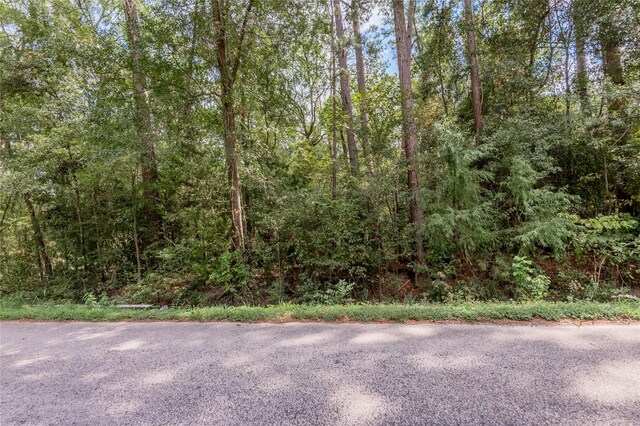 46 Brazil Blvd, Huntsville, TX 77320 - photo 6
