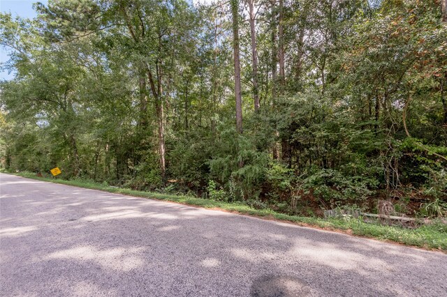46 Brazil Blvd, Huntsville, TX 77320 - photo 7