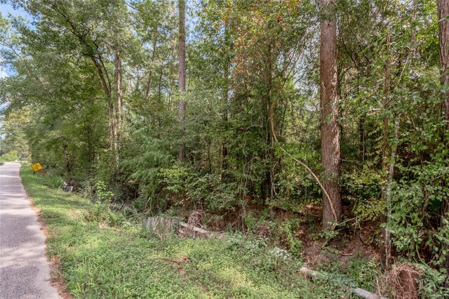 46 Brazil Blvd, Huntsville, TX 77320 - photo 8