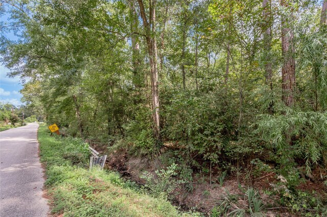 46 Brazil Blvd, Huntsville, TX 77320 - photo 9