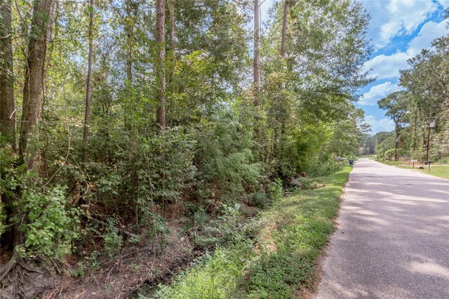 46 Brazil Blvd, Huntsville, TX 77320 - photo 10