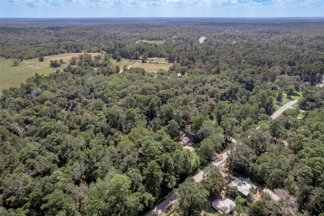 46 Brazil Blvd, Huntsville, TX 77320 - photo 12