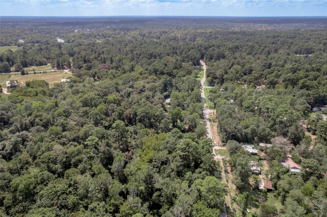 46 Brazil Blvd, Huntsville, TX 77320 - photo 13