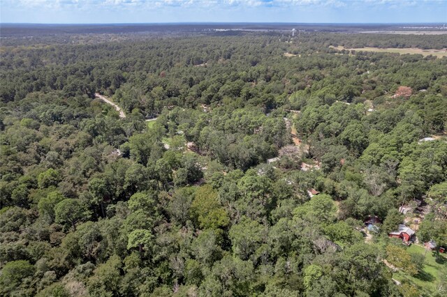 46 Brazil Blvd, Huntsville, TX 77320 - photo 14