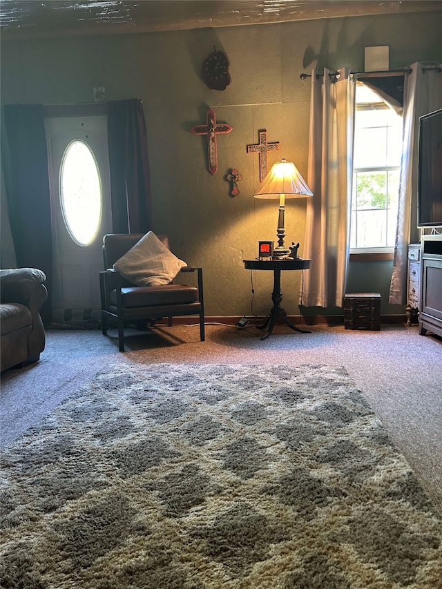 sitting room featuring carpet flooring