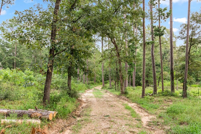 view of local wilderness