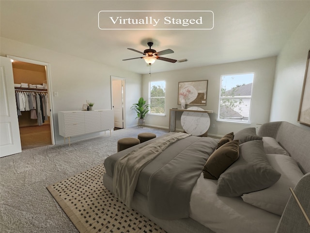 carpeted bedroom with ceiling fan, a closet, multiple windows, and a spacious closet