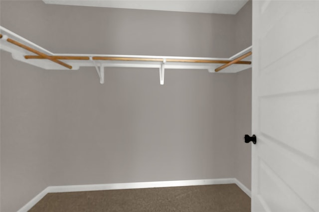 walk in closet featuring carpet