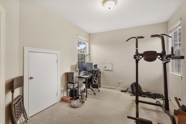 office area featuring carpet floors