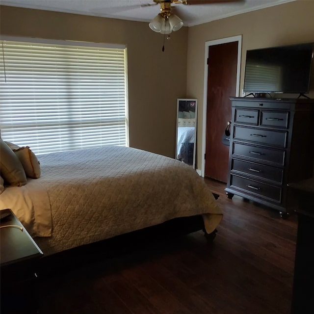 bedroom featuring ceiling fan, ornamental molding, and dark hardwood / wood-style flooring