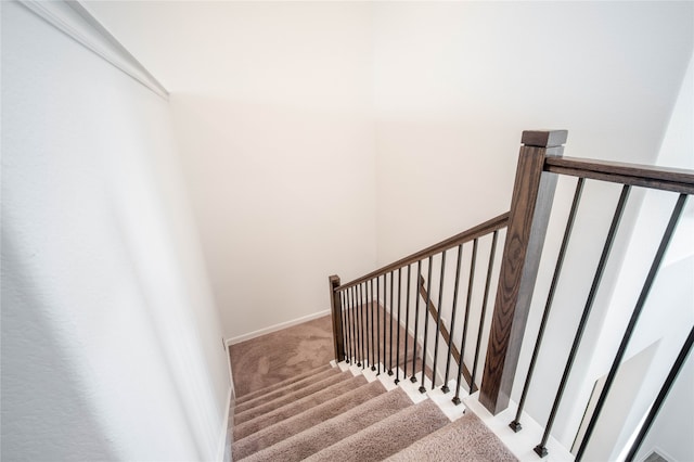 staircase featuring carpet flooring