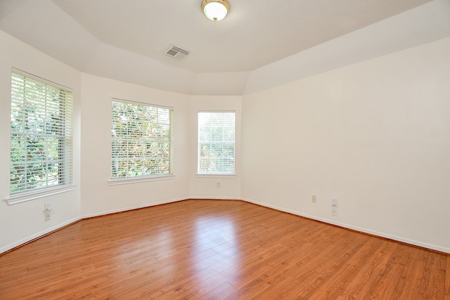 empty room featuring plenty of natural light and light hardwood / wood-style floors