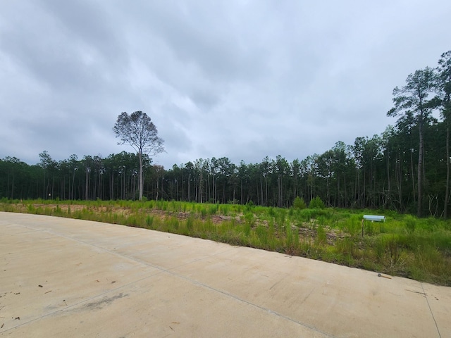 139 Rayburn Reserve Dr, Jasper, TX 75931 - photo 1